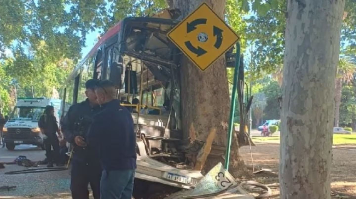 El colectivero murió en el acto. (Foto: gentileza MDZ Online)