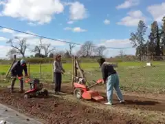 Escuela y comunidad: estudiantes inician prácticas que transforman la secundaria