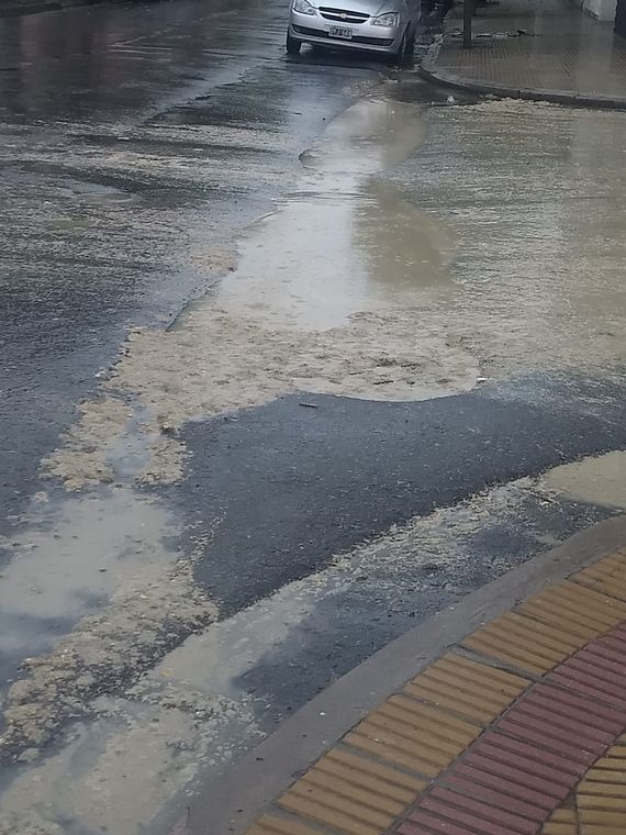 Denuncian que las cloacas rebalsan en Alsina y Pellegrini