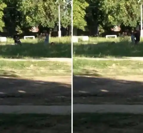 Vecinos de Barrio Futuro piden que corten el pasto de la plaza