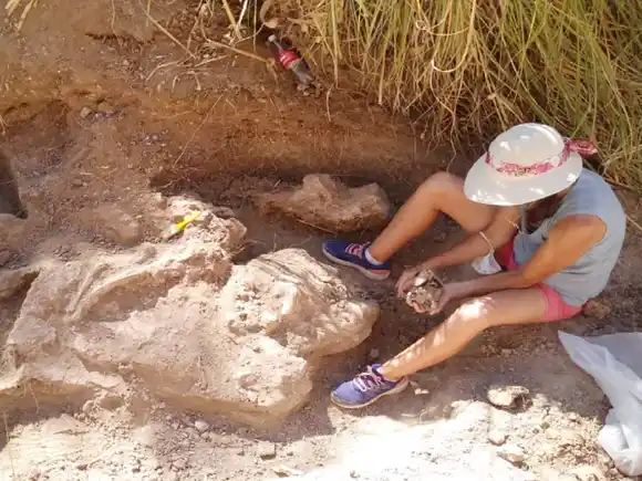 El Museo Serrano participa del Congreso de la Asociación Paleontológica Argentina