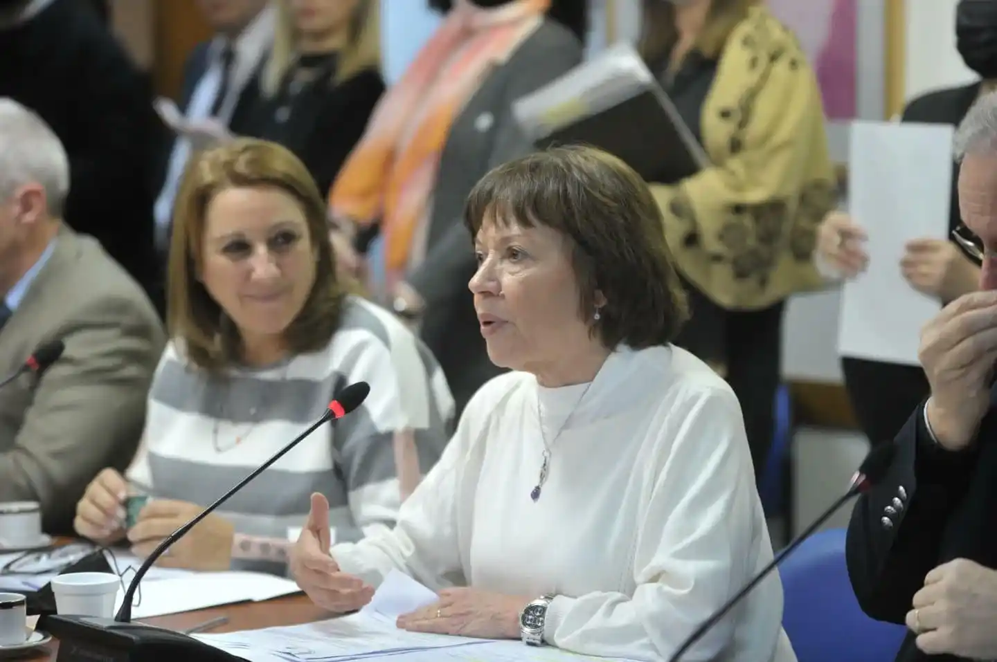 “Espero que Bordet aclare por qué no firmó el pedido de juicio político a la Corte”, planteó Blanca Osuna