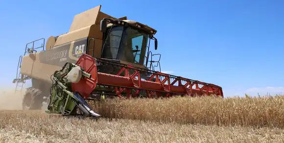 Las lluvias desaceleraron la cosecha de trigo y la siembra de soja temprana en el centro-norte santafesino