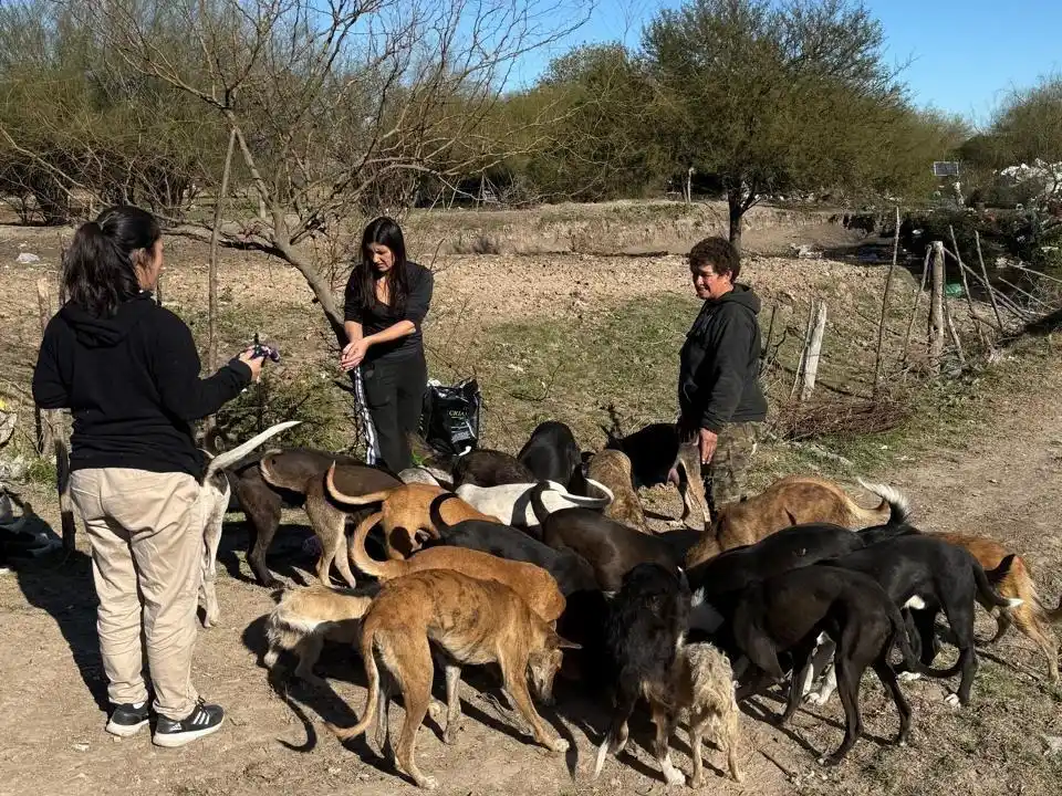 “Seamos Manada”: un trabajo silencioso que rescata animales y protege a la comunidad