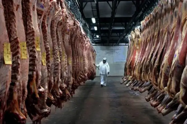 Por primera vez en la historia, consumo de pollo le gana al de carne