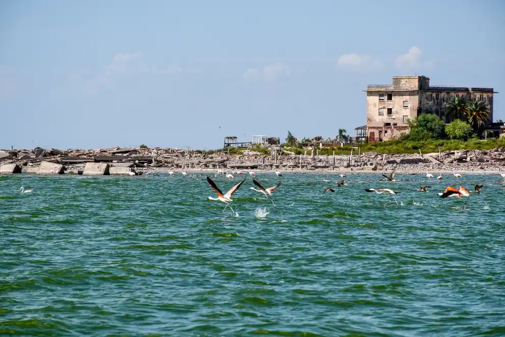 Parque Nacional Ansenuza. El área protegida abarca incluye la Laguna de Mar Chiquita o Mar de Ansenuza, el mayor lago salado de Sudamérica y el quinto a nivel mundial.