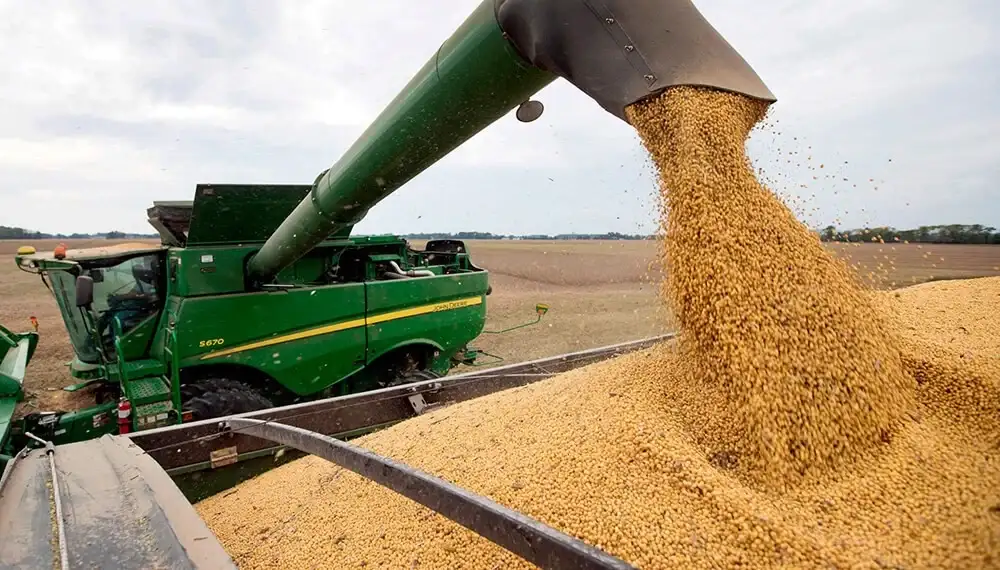 La cosecha de soja en Entre Ríos cerró con una caída en la producción