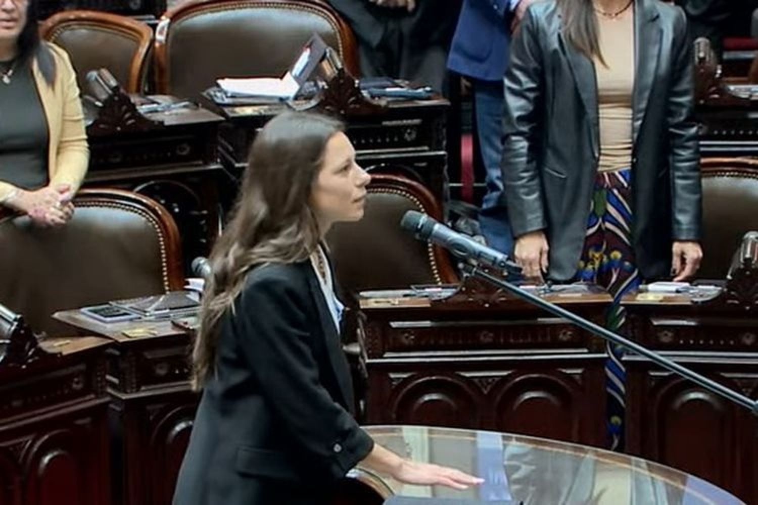 Nancy Ballejos asumió como diputada nacional por Entre Ríos