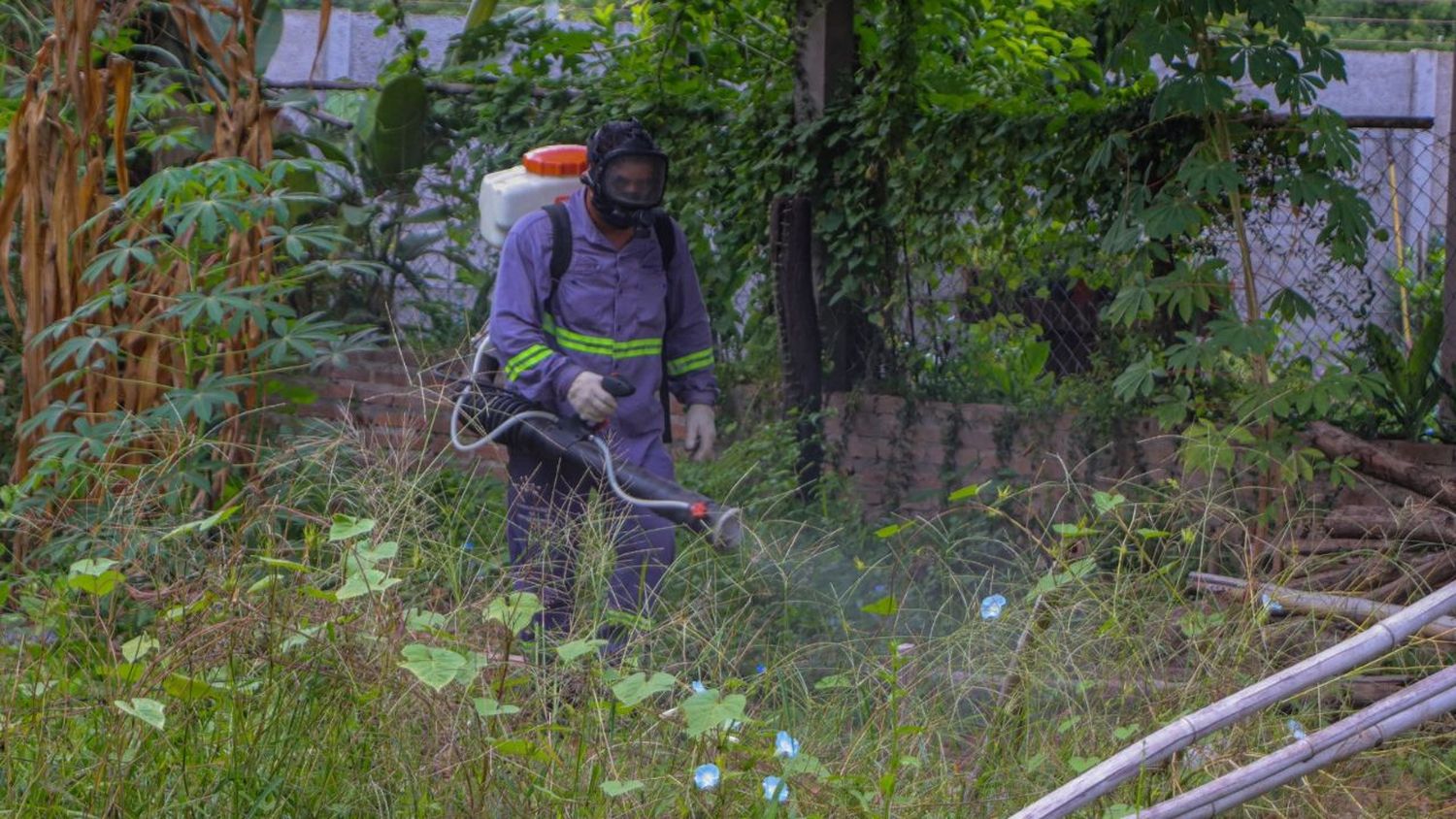 Dengue: operativos de bloqueo sanitario,  descacharrado y fumigación