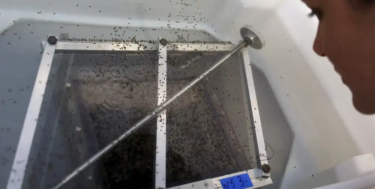 Durante ese período se contabilizaron casi 6 milmuertes por la enfermedad. Crédito: Reuters.