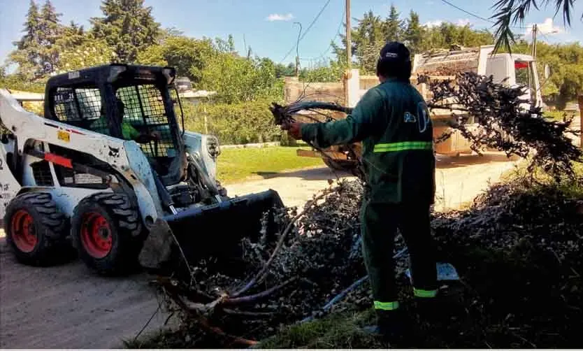 Acompañaron el operativo con limpieza de restos de poda. 