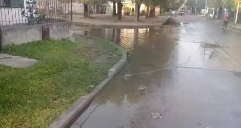 Reporte: Pérdidas de agua