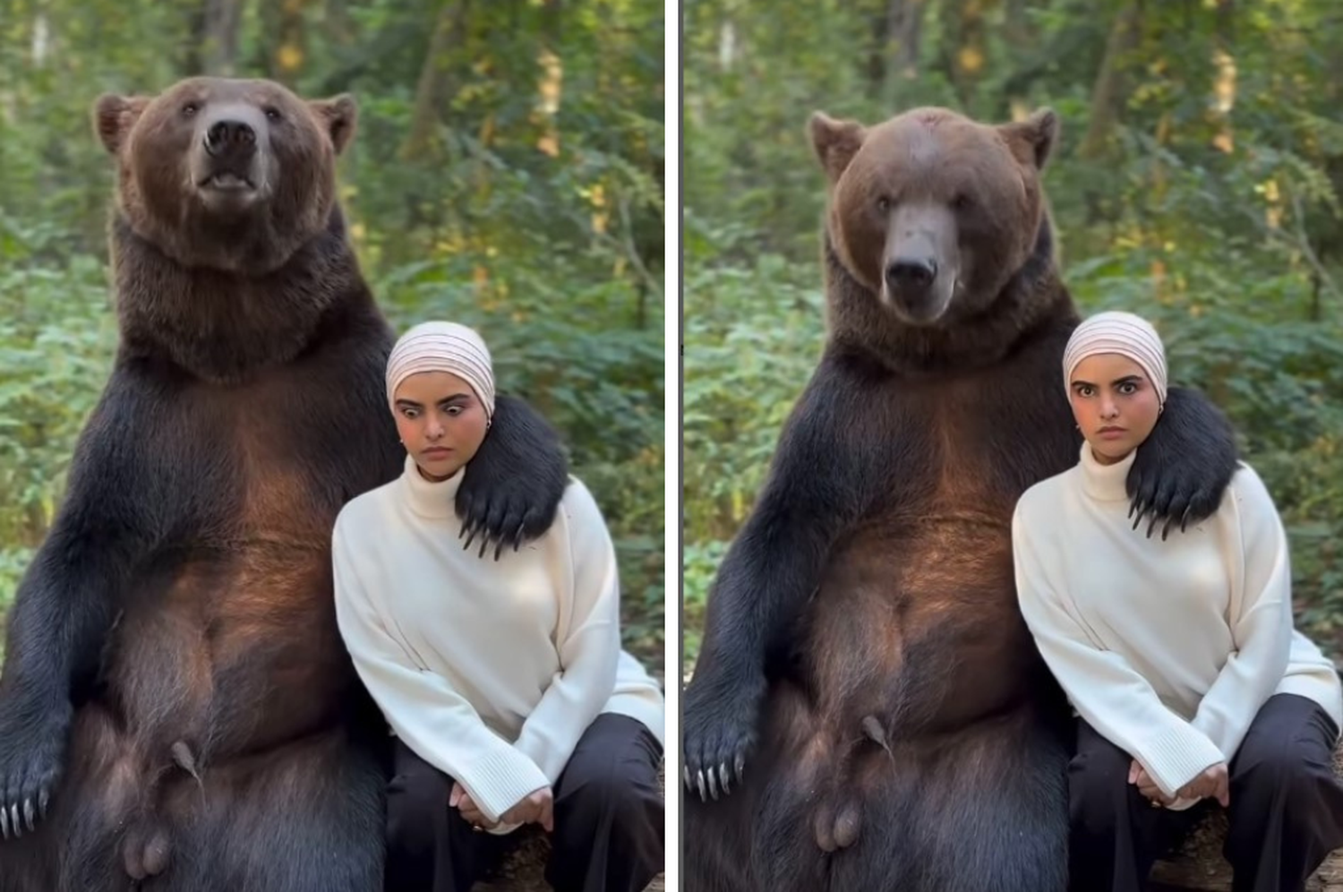 Una mujer quiso posar con un oso gigante para una foto y su reacción se volvió viral: el video