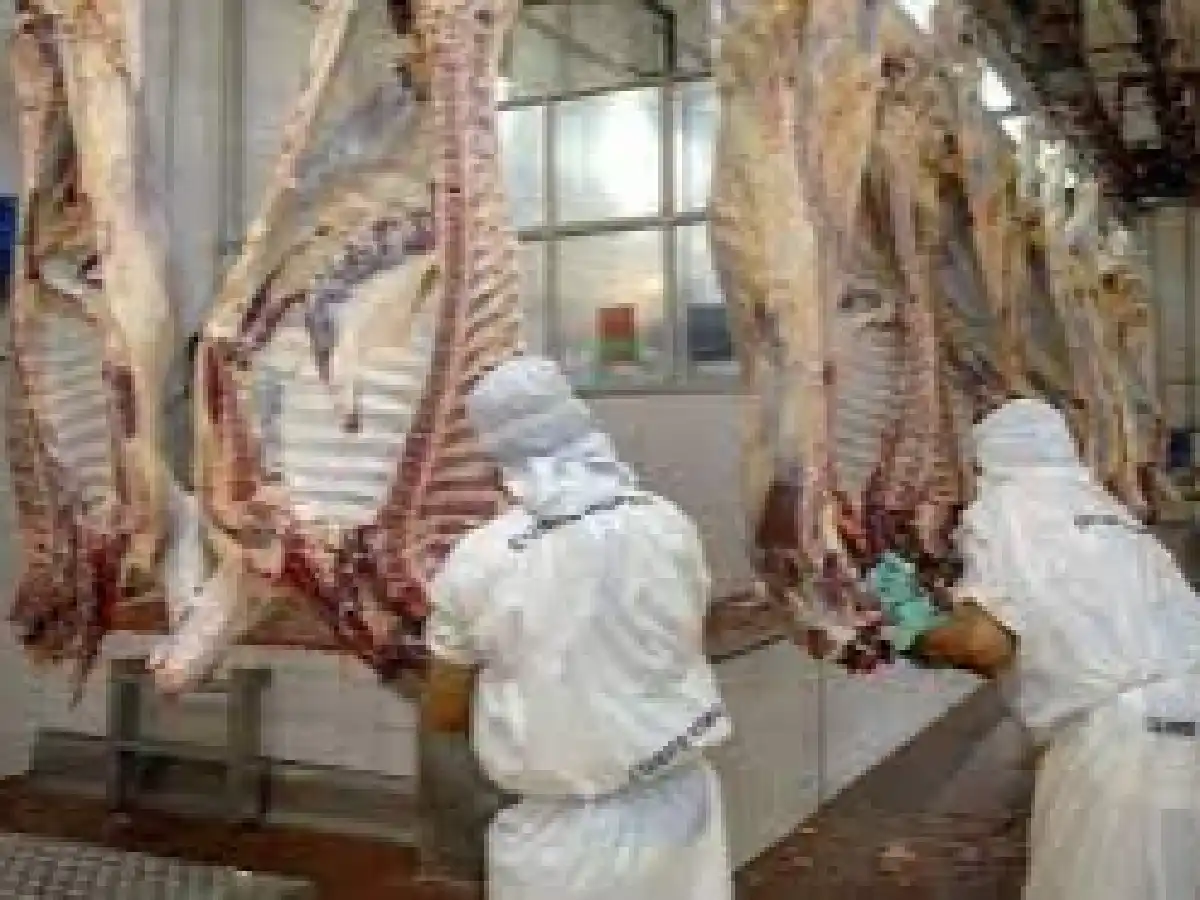 El Gobierno postergó la entrada en vigencia de la comercialización de carne por troceo