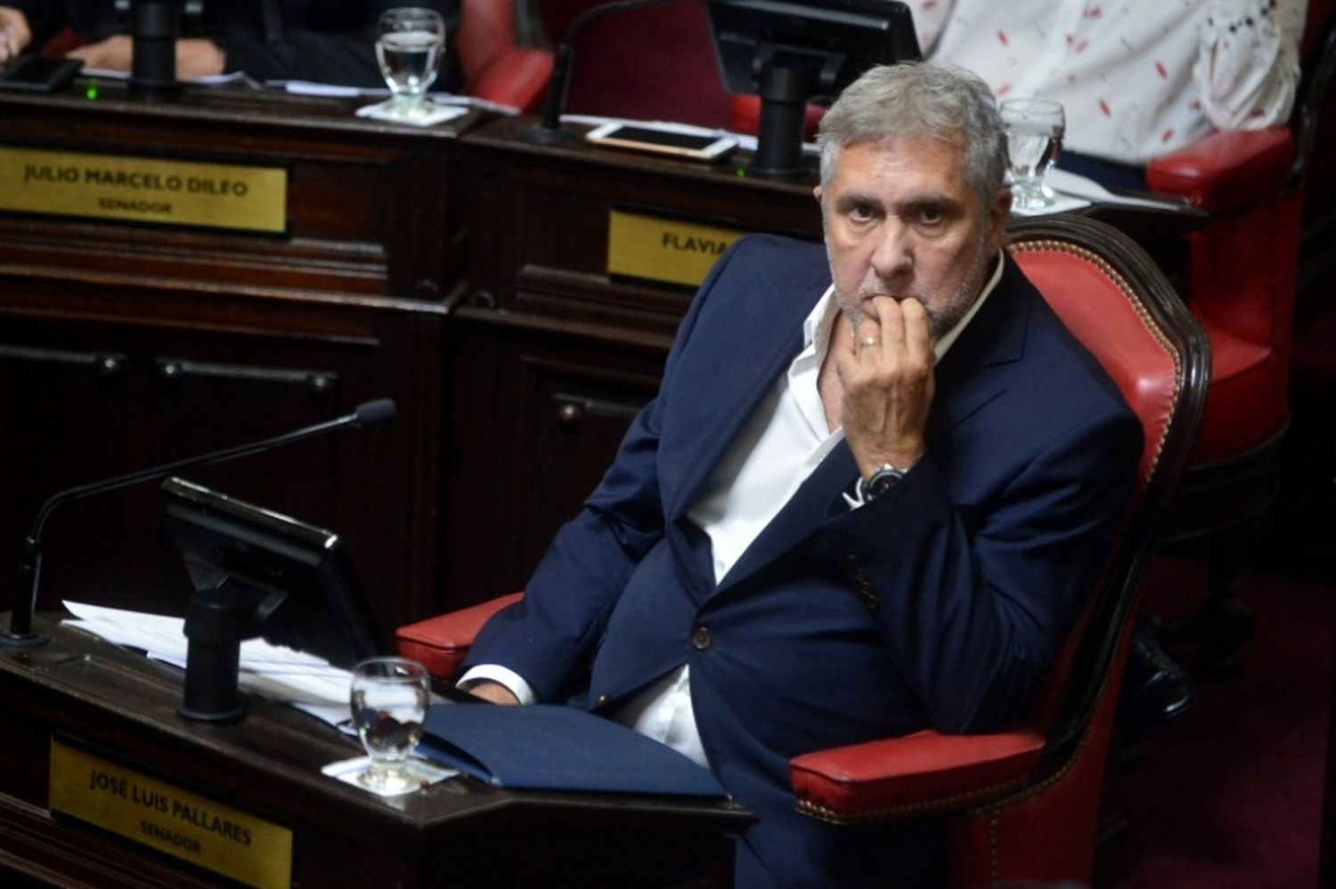 Pallares: "Es alentador saber que en el Conurbano se obtuvo el 81% de la diferencia total que sacó el Frente de Todos"