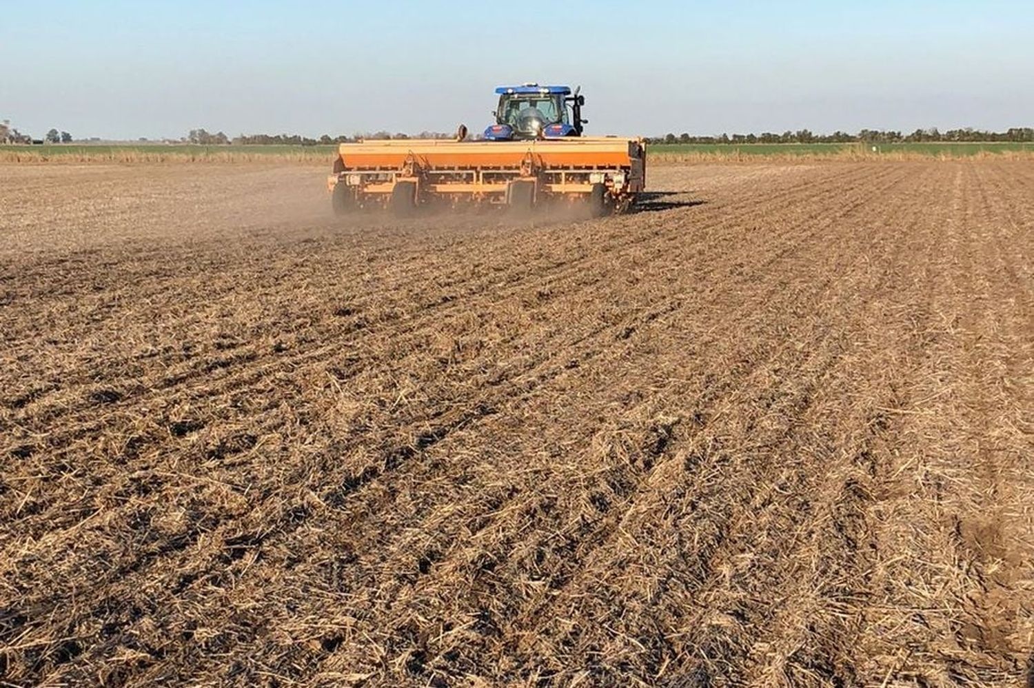 El ambiente seco permitió el avance de la cosecha de maíz tardío