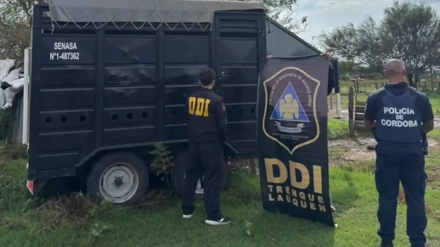 Investigan la desaparición de caballos valuados en $100 millones y siguen una pista en Córdoba