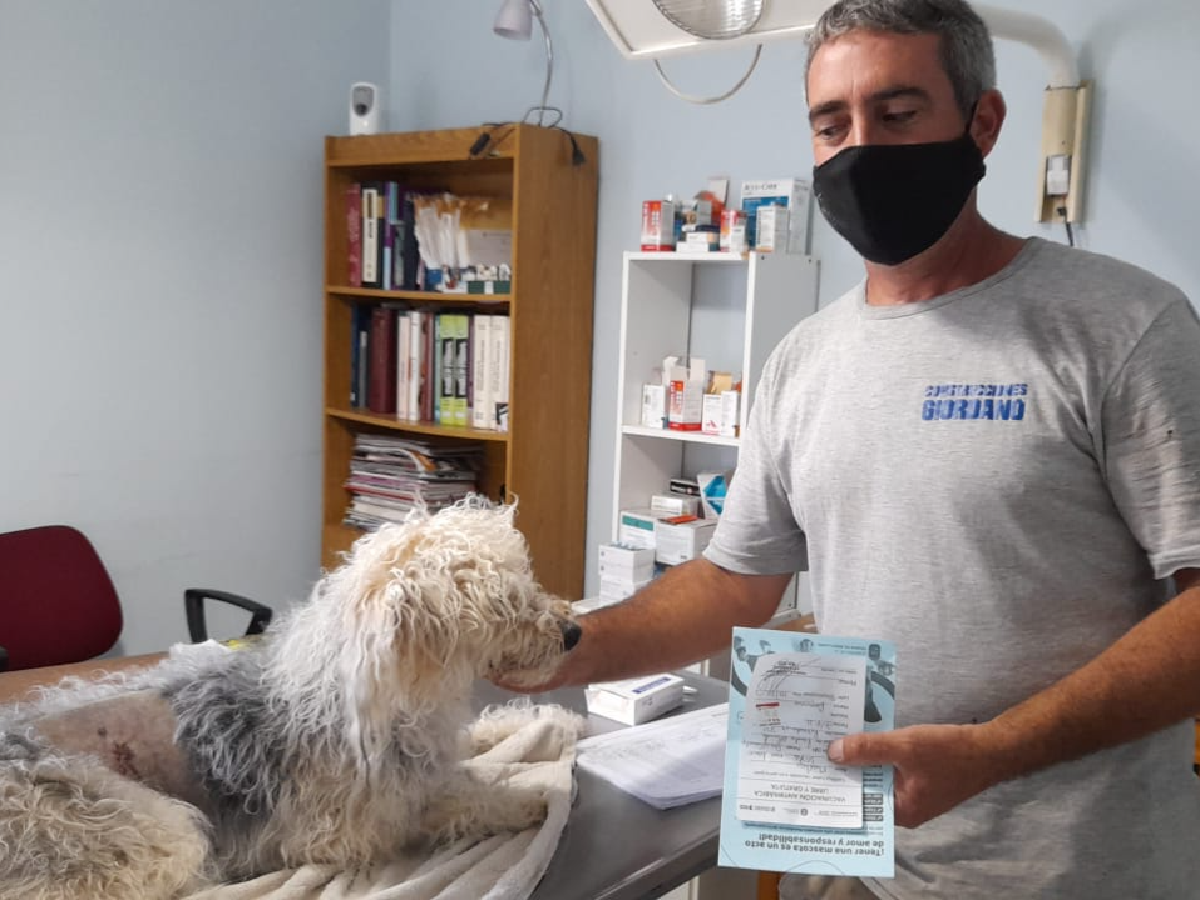 Brinkmann: vacunaron más de 400 mascotas contra la rabia      