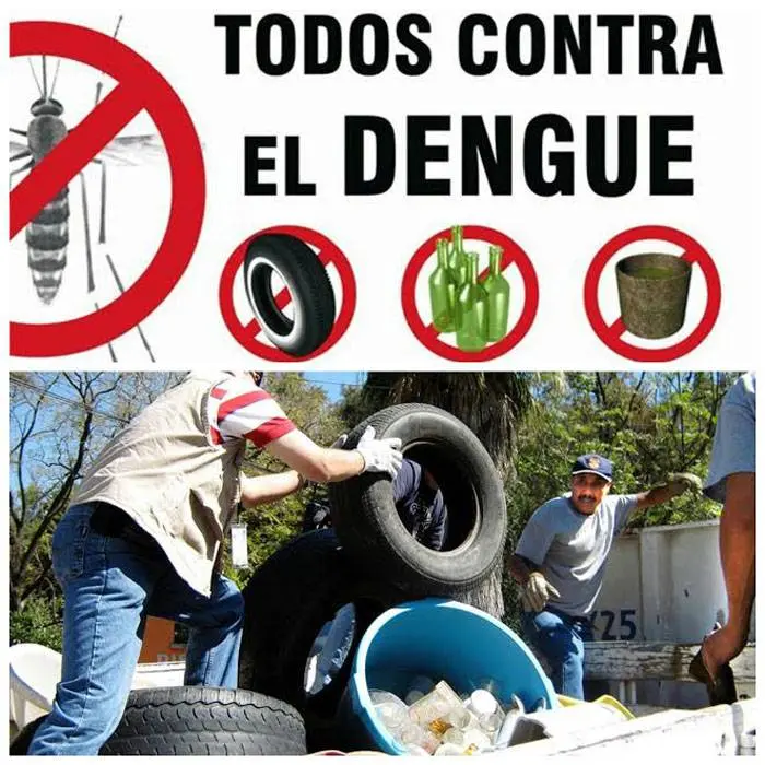 El Dengue presente en más  del 60 % del territorio nacional