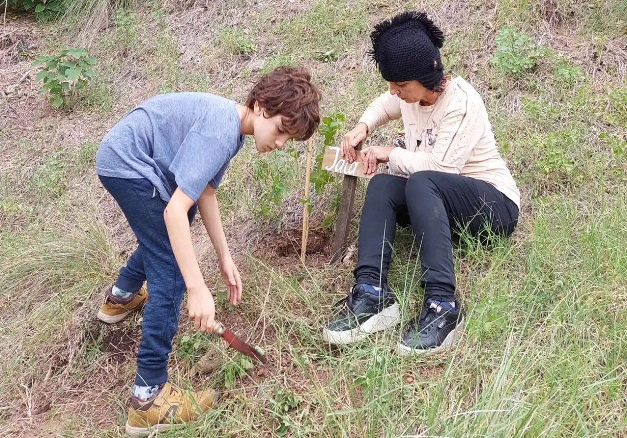Plantación de nativas en las barrancas: hay 15 nuevos ejemplares de tala