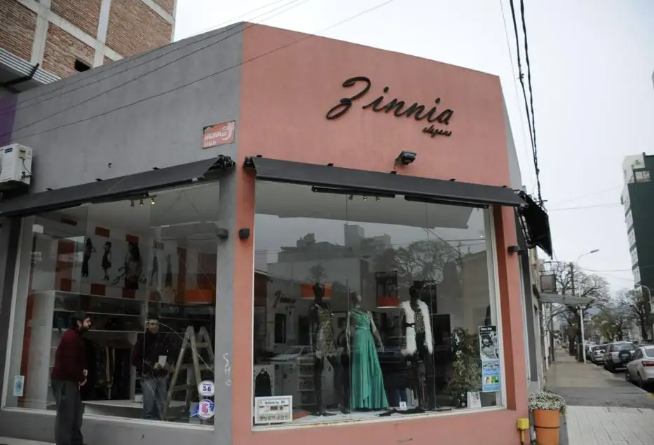 Delincuentes robaron más de 45 mil pesos en mercadería de un local céntrico