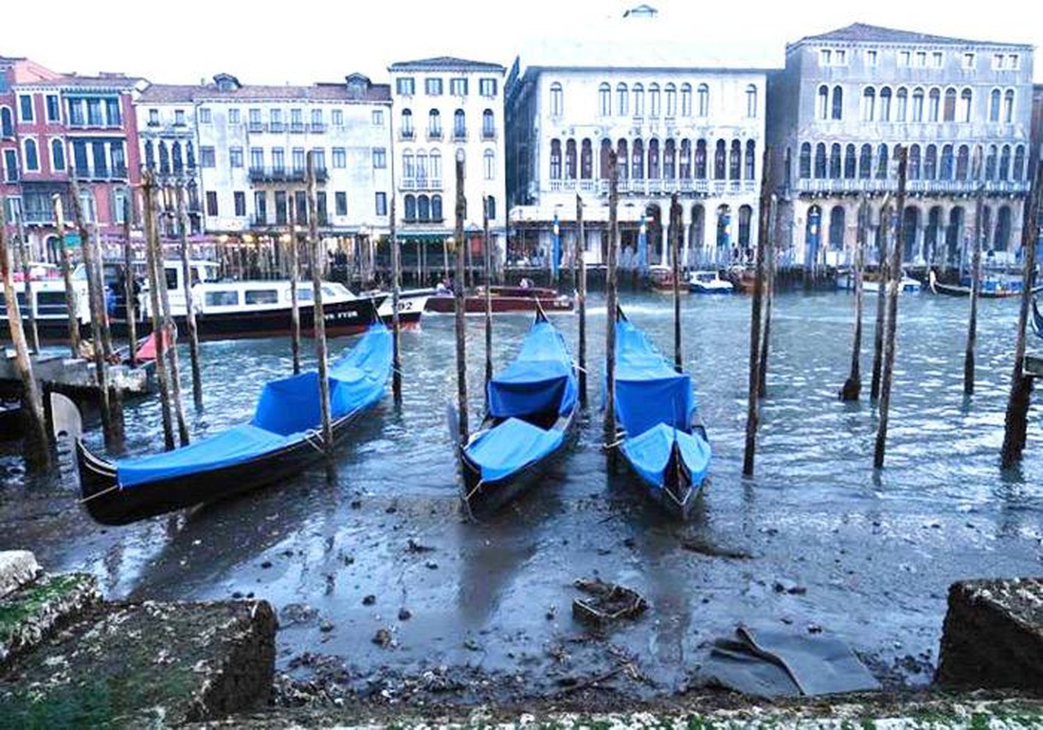 Canales reducidos a calles con fango; barcos que tocan tierra: así está Venecia tras la espectacular marea baja