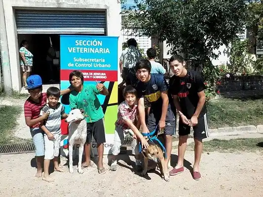 Vacunación: Se atendieron más 50 perros y gatos en el barrio Fiorotto