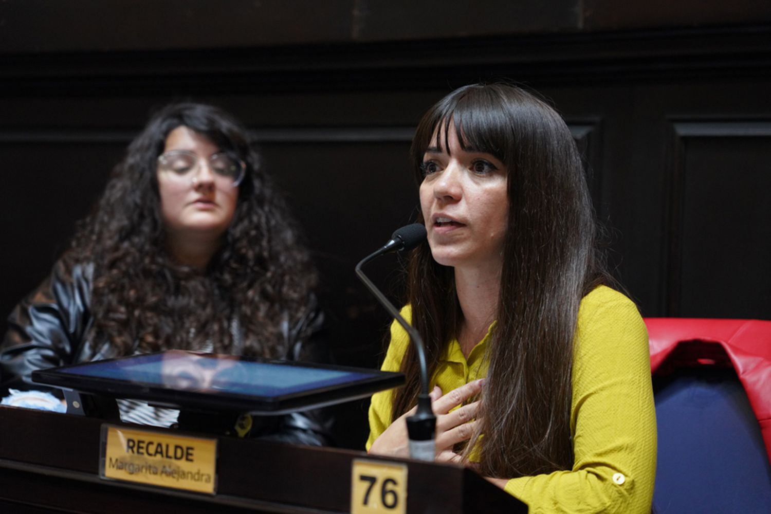 La Legislatura bonaerense avanza para ampliar las licencias estatales