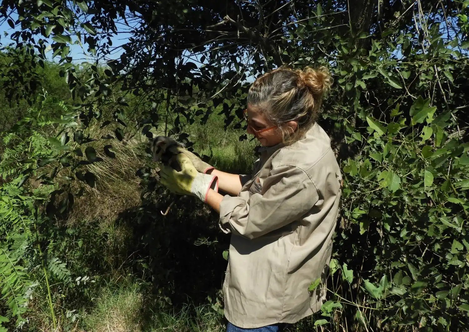 Día Mundial de la Fauna Silvestre