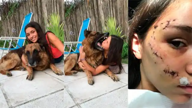 Se fotografió con la perra de su amigo y terminó con más de 20 puntos en la cara