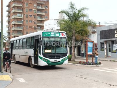 Los colectivos ofrecerán un servicio especial por las elecciones, pero en Gualeguaychú no será gratis