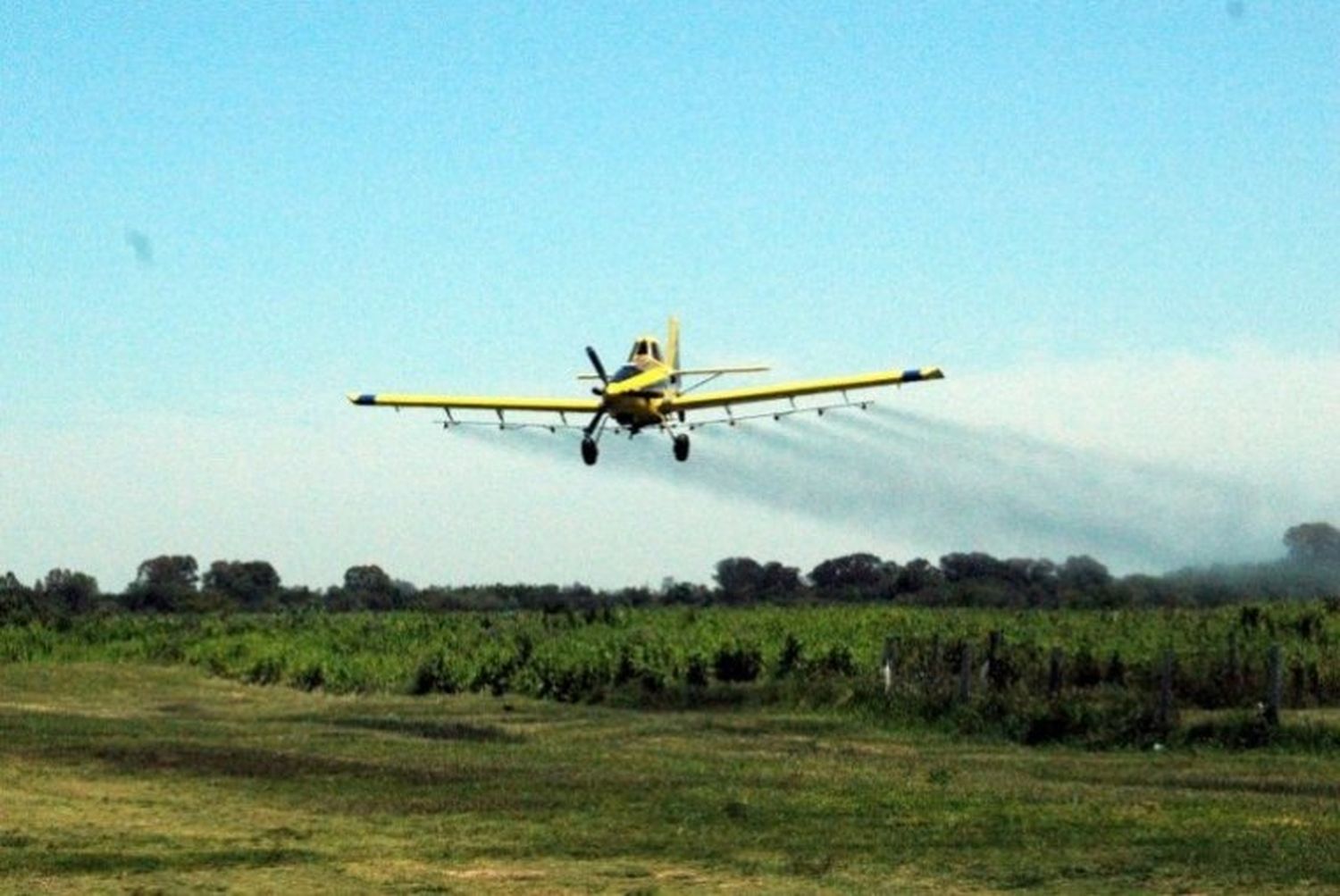 En agosto se realizará en Córdoba el congreso más importante de la aviación agrícola