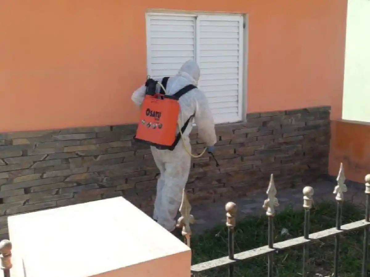 Ya son cinco los casos de dengue en Brinkmann