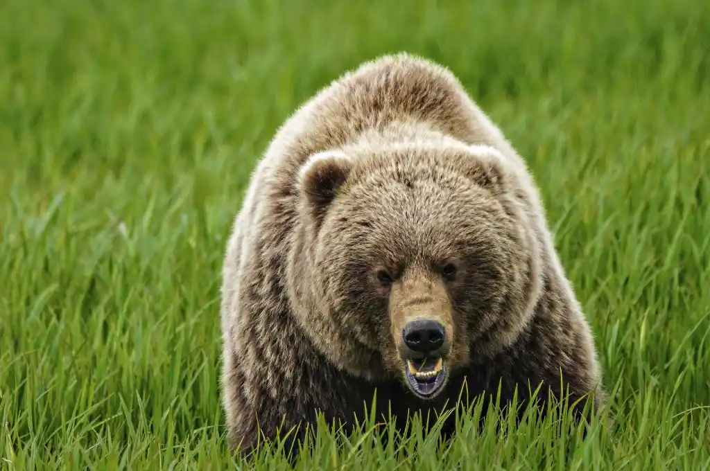 Imagen ilustrativa. (Foto: Gentilezas)