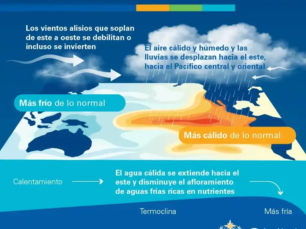 La ONU advierte que El Niño será un evento sin precedentes y una fuerza destructiva