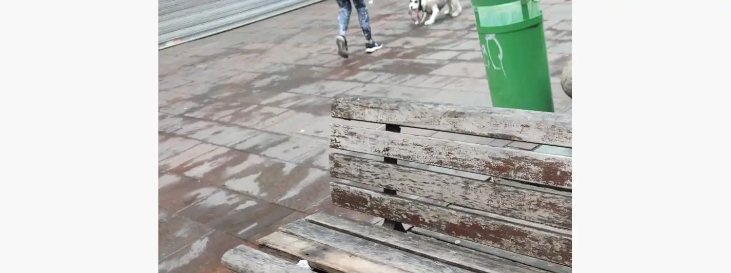 Peatonal San Martín: una imagen que avergüenza a Mar del Plata