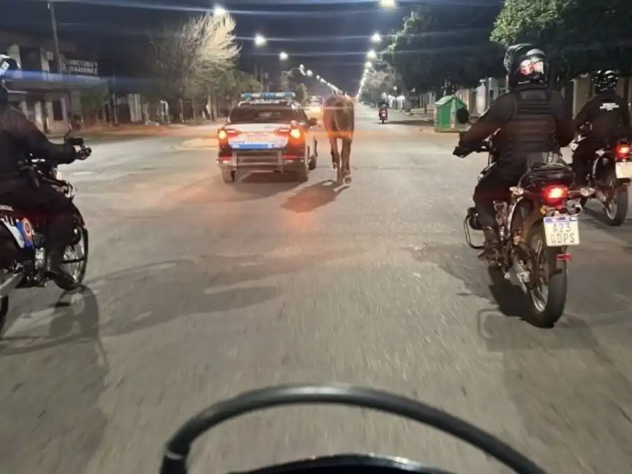 El caballo trotaba por la calle Mendoza cuando fue rescatado por la Policía.