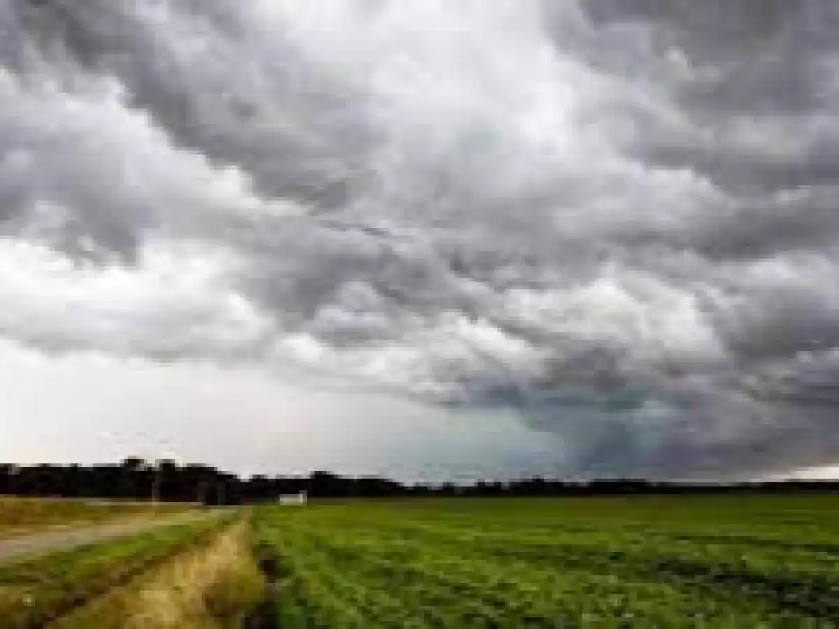Las lluvias mejoraron las posibilidades de cosecha en las zonas afectadas por la sequía