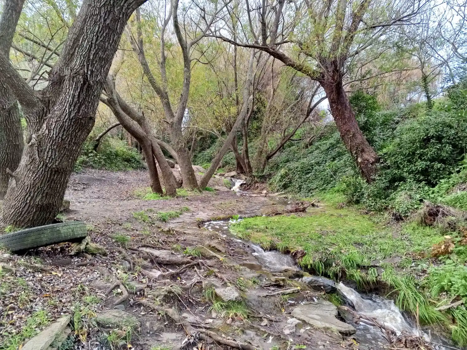 cascada secreta - 3