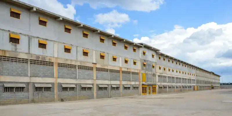 Se mueren de mengua presos de cárcel de Valencia
