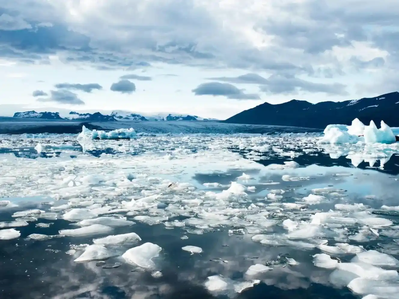 El Ártico entra en una fase crítica por la crisis climática: deshielo récord y ecosistemas alterados