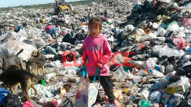 "El frío y el hambre, te llevan a esperar un camión con basura para alimentarte"