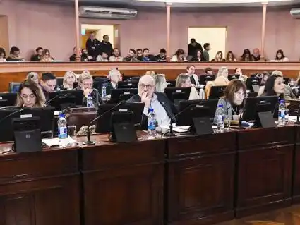 La Cámara de Diputados aprobó la adhesión de Entre Ríos a la Ley Olimpia y facultades de crédito para comunas
