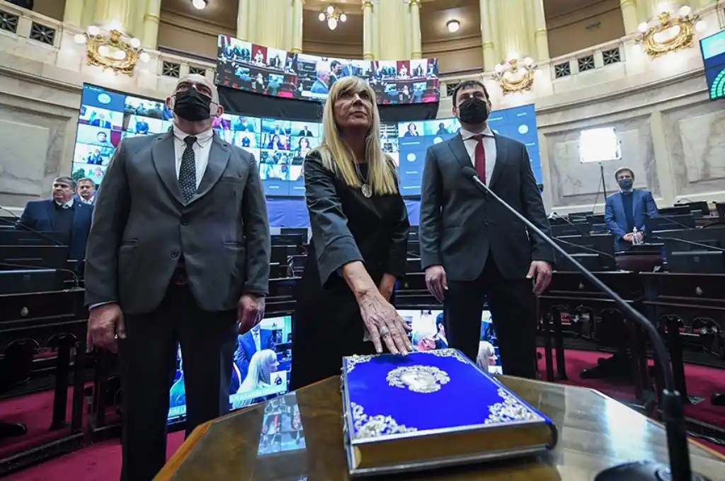 Vucasovich asumió la banca que dejó vacante Carlos Reutemann