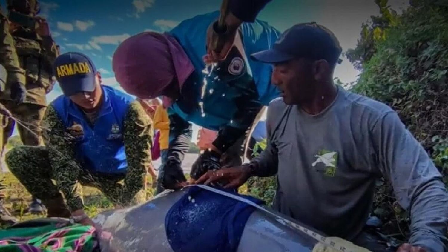 Rescatan en Colombia a dos delfines rosados en peligro de extinción