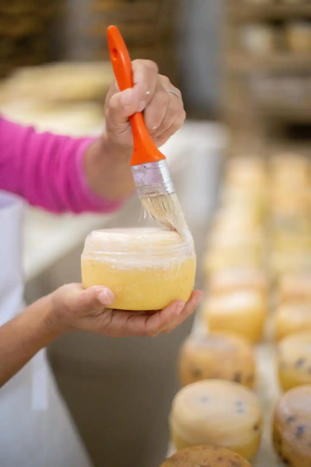 Presentarán un proyecto ante Nación para potenciar la Ruta del Queso Tandilero
