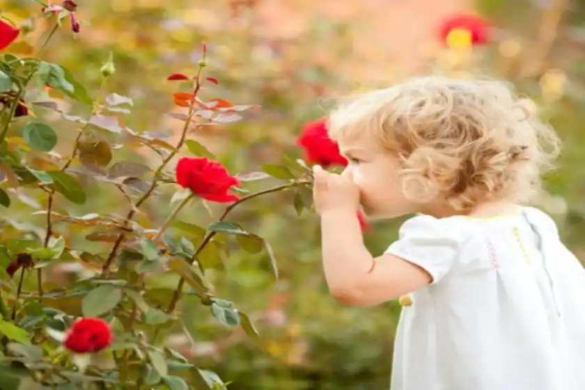 Los aromas del tiempo