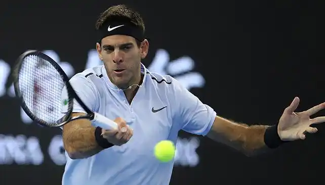 Del Potro, a un paso del Masters de Londres