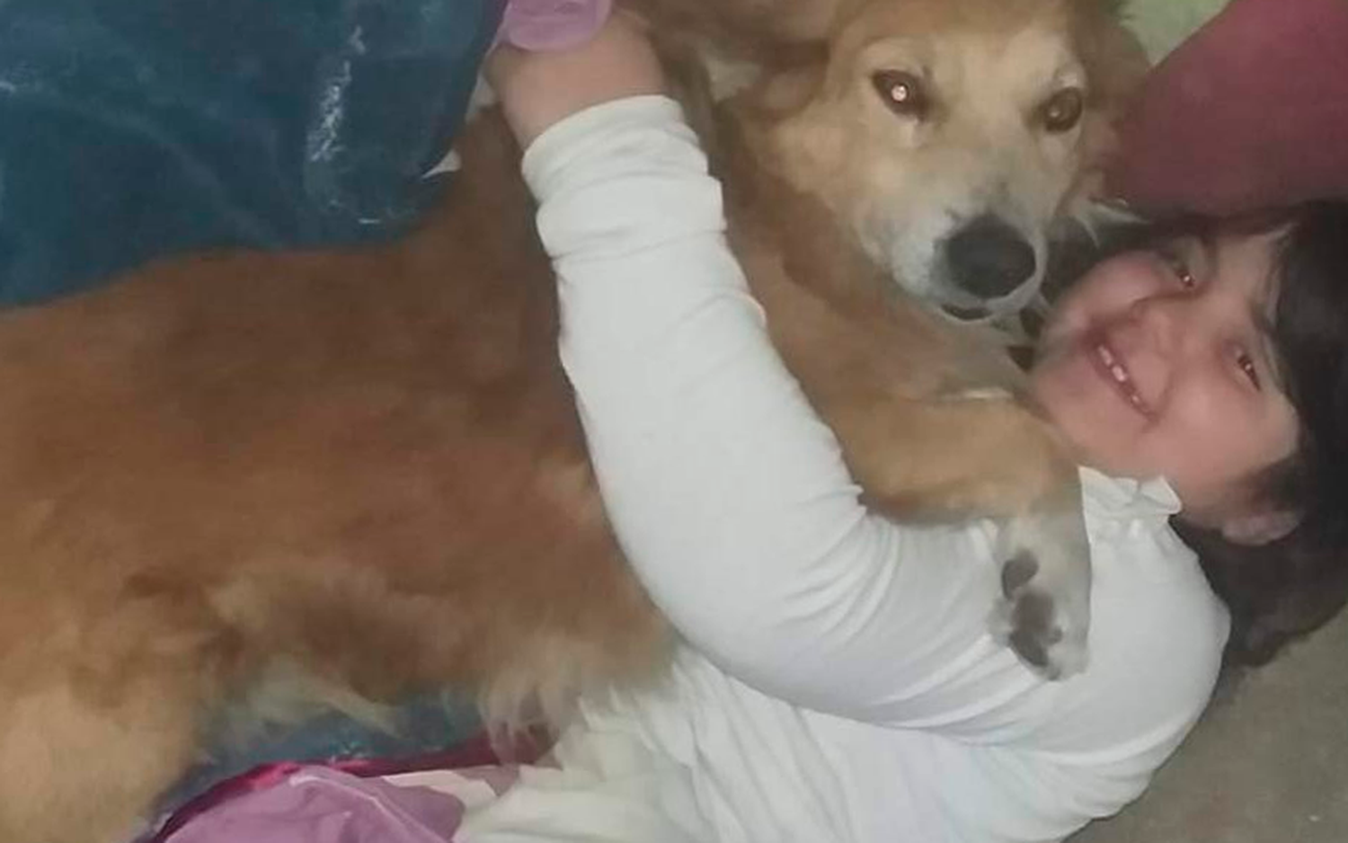 Buscan a “Toto, Patitas, Papi o Rubio”