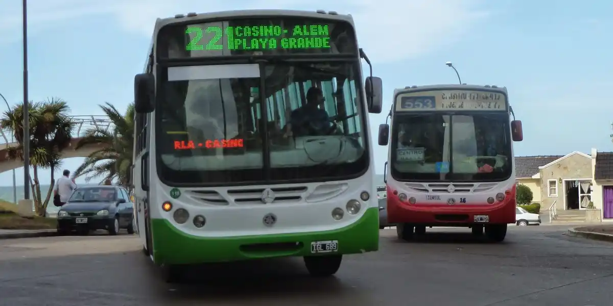 La línea 221 refuerza sus servicios durante la temporada